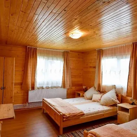 Homestay Casa Traian Ghetari